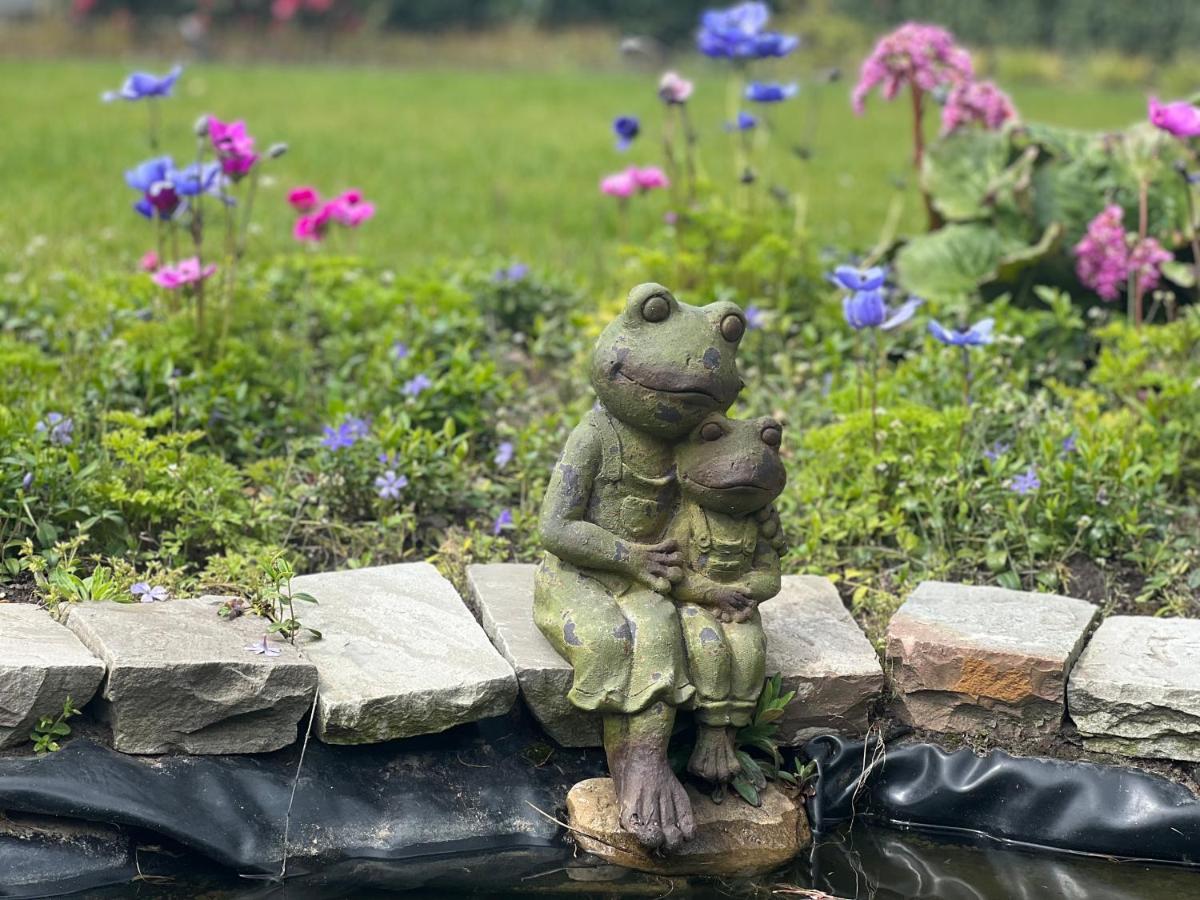 Ikigai B&B - Wellness Oud-Turnhout Kültér fotó