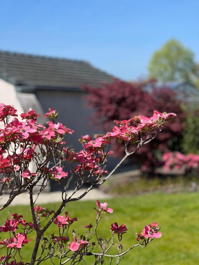 Ikigai B&B - Wellness Oud-Turnhout Kültér fotó