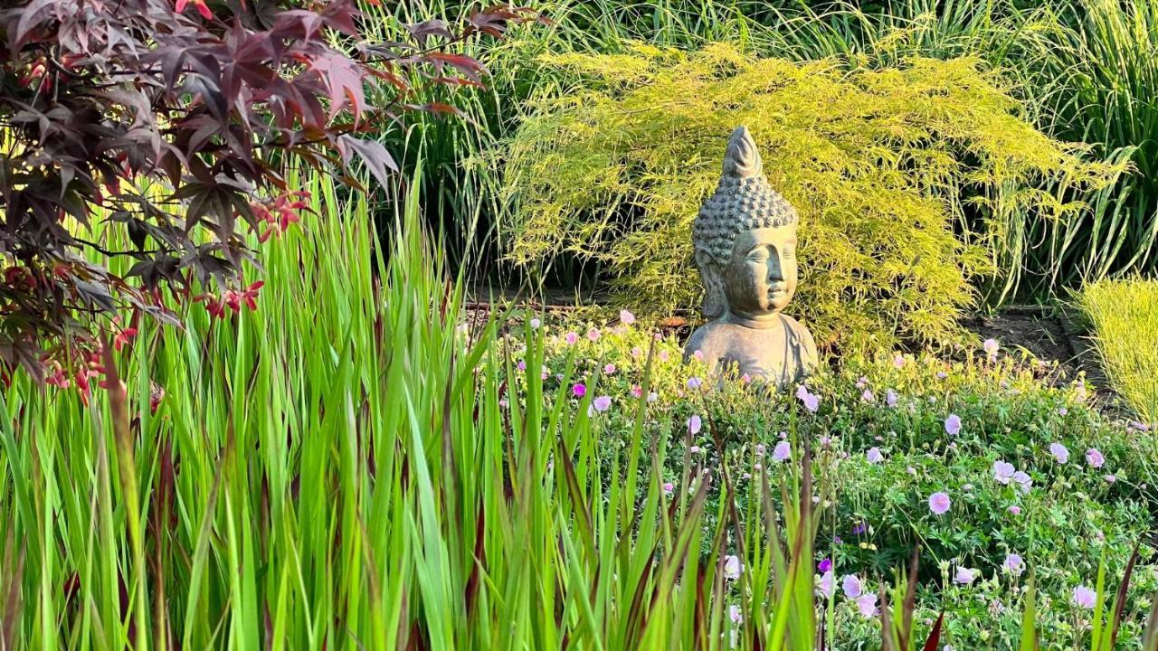 Ikigai B&B - Wellness Oud-Turnhout Kültér fotó