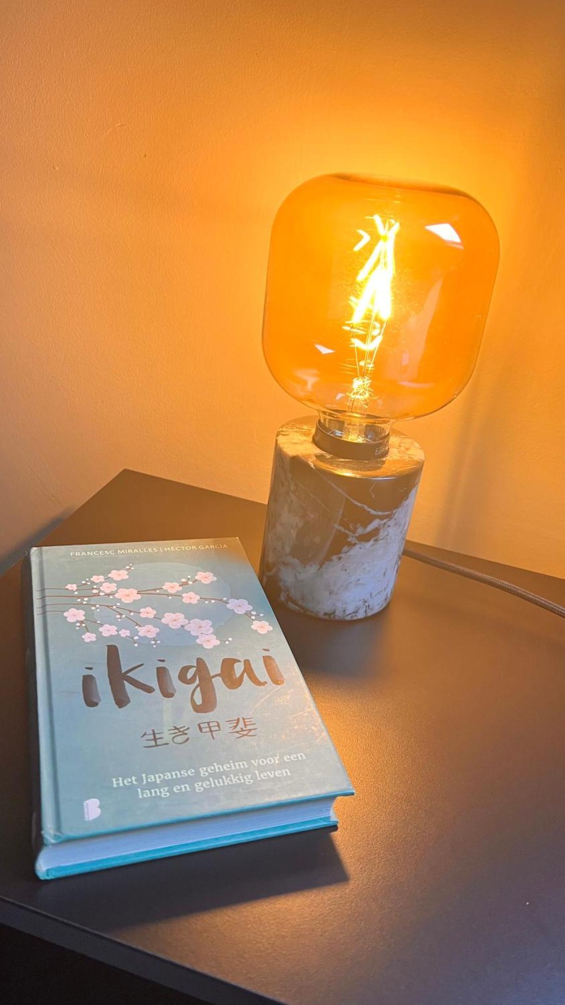 Ikigai B&B - Wellness Oud-Turnhout Szoba fotó