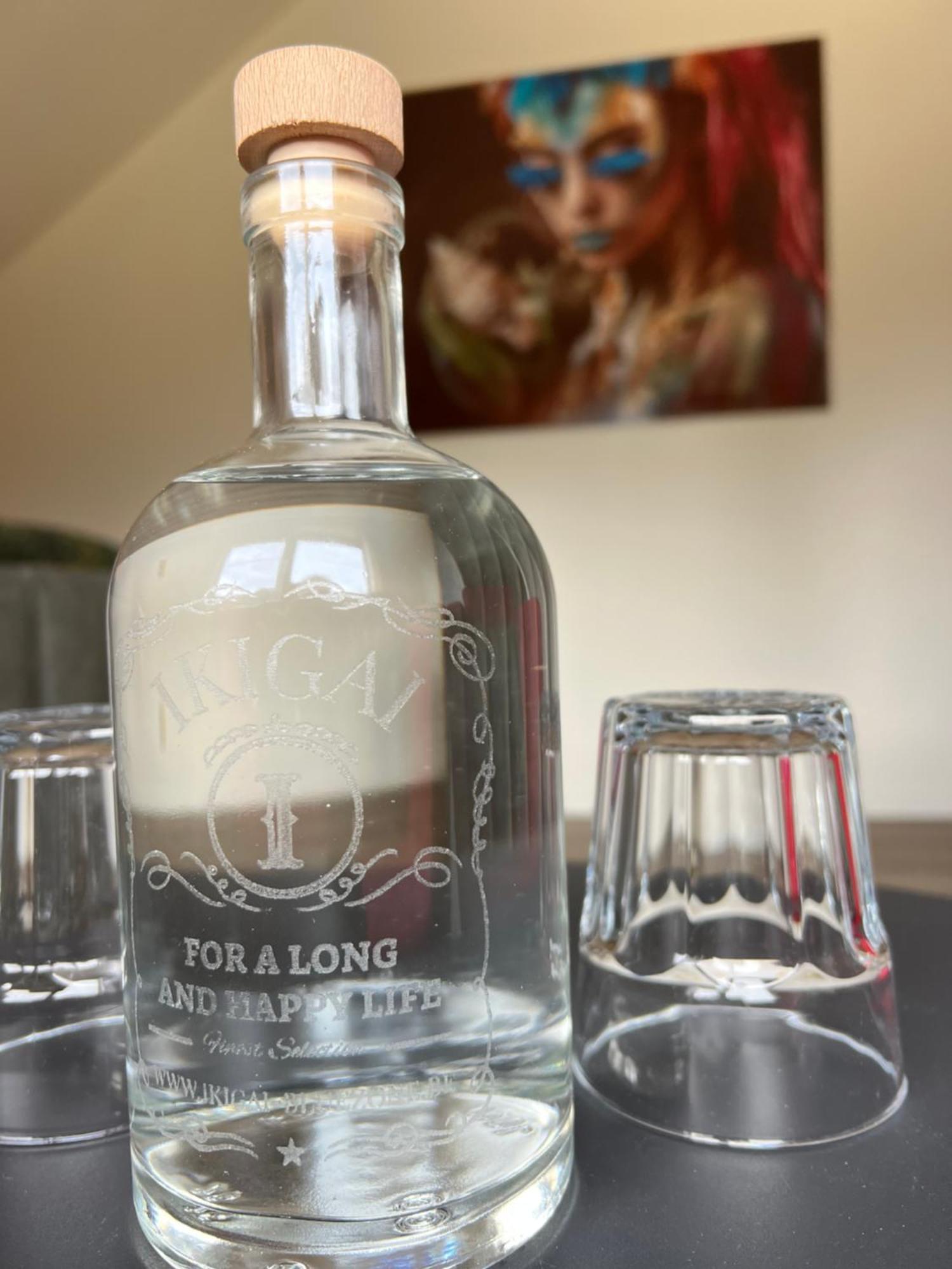 Ikigai B&B - Wellness Oud-Turnhout Kültér fotó