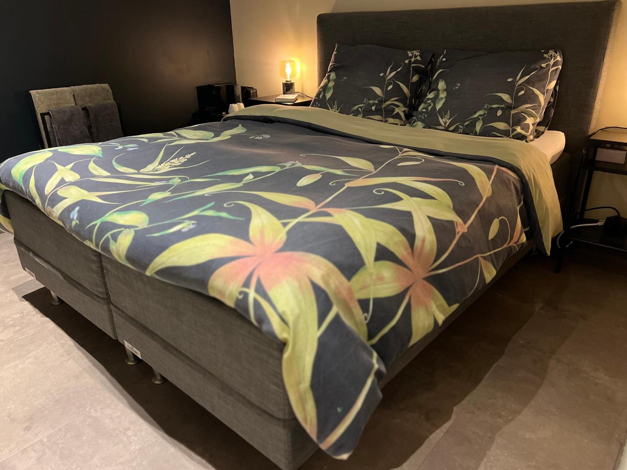 Ikigai B&B - Wellness Oud-Turnhout Kültér fotó